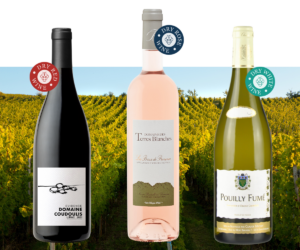 90-plus-rated-wines-by-james-suckling-bonnet-et-associes-cover